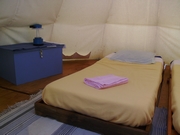 Tipi