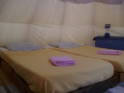 Tipi